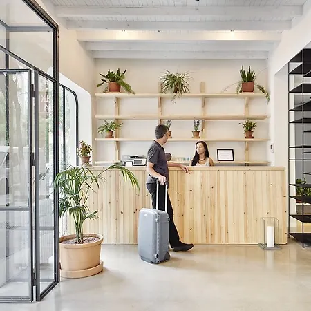 The Boc - Hostel Palma de Mallorca